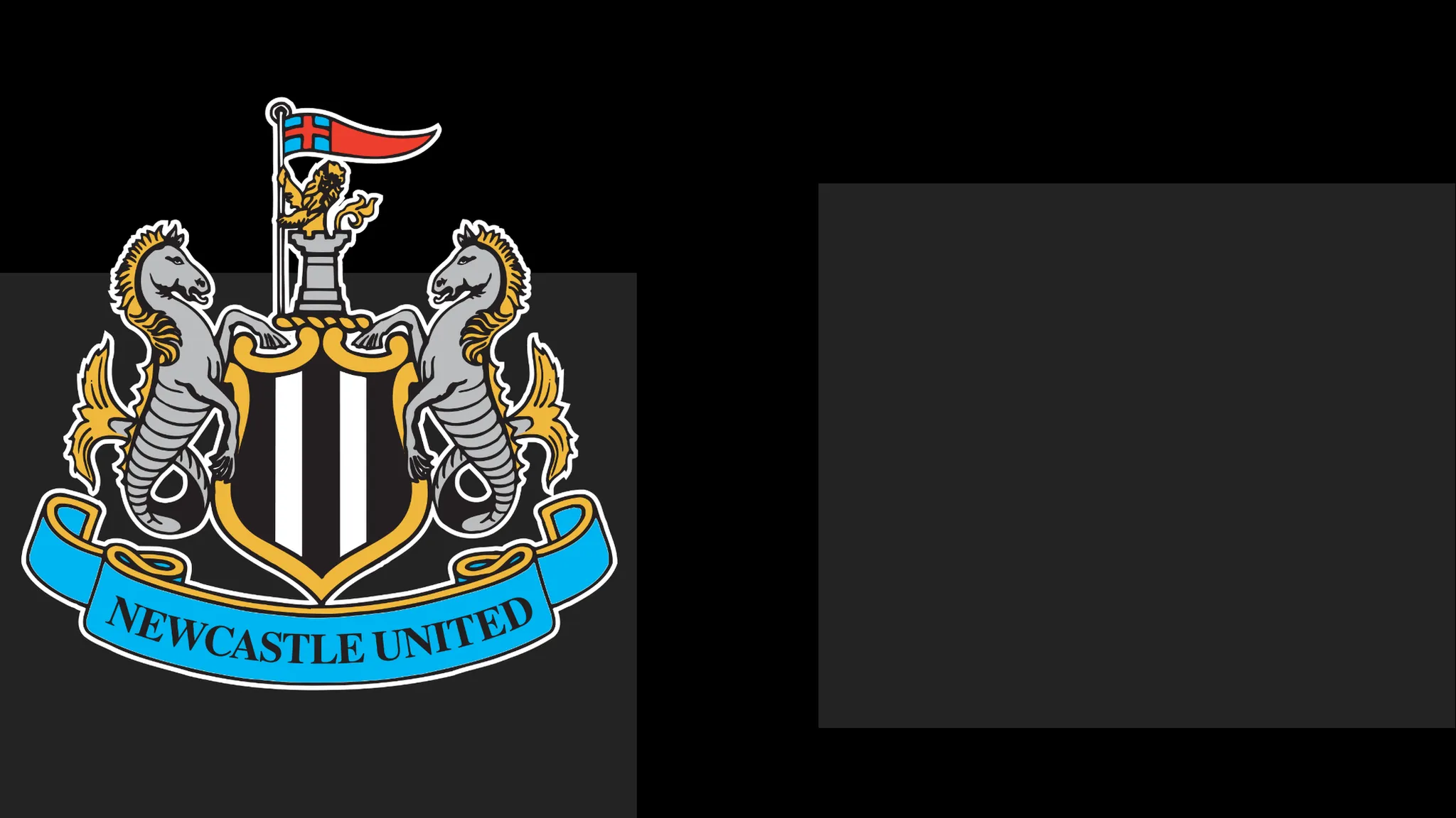 NUFC Issue Apology to Followers Following Matchday Controversy