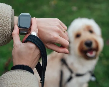 The Reality Regarding Wearable Tech? Life Improves Without a Bossy Device on Your Wristwear
